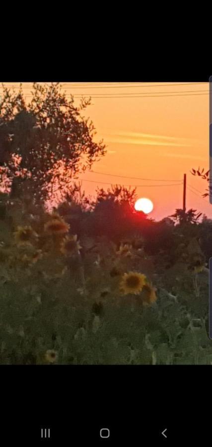 Trulli Selva E Natura Gio'.Ele Alberobello Buitenkant foto